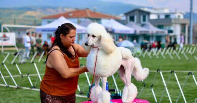 Gemlik, Patili Dostların Renkli Buluşmasına Ev Sahipliği Yaptı