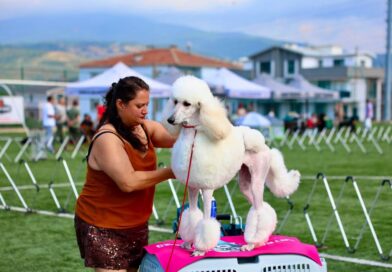 Gemlik, Patili Dostların Renkli Buluşmasına Ev Sahipliği Yaptı