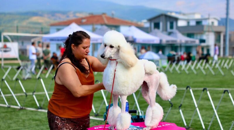 Gemlik, Patili Dostların Renkli Buluşmasına Ev Sahipliği Yaptı