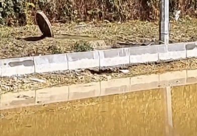 TÜM PİSLİK SAHİLE AKIYOR