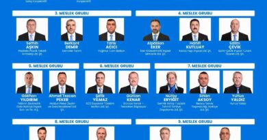 11 meslek grubu, Gemlik için aynı masada.