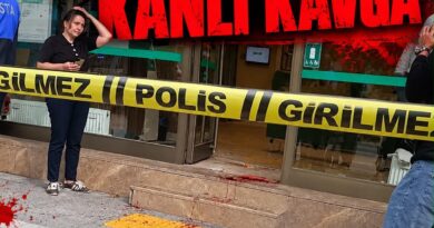 Gemlik’te hamile kadına saldırı!